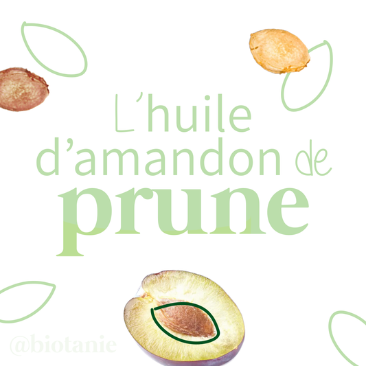 L'huile d'amandon de prune