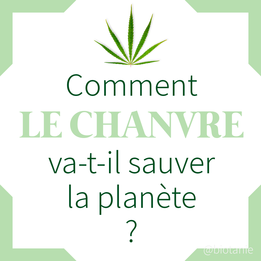 Comment le chanvre va-t-il sauver la planète ?