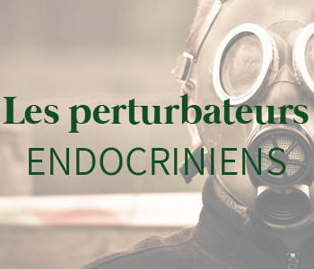 C'est quoi un perturbateur endocrinien ?